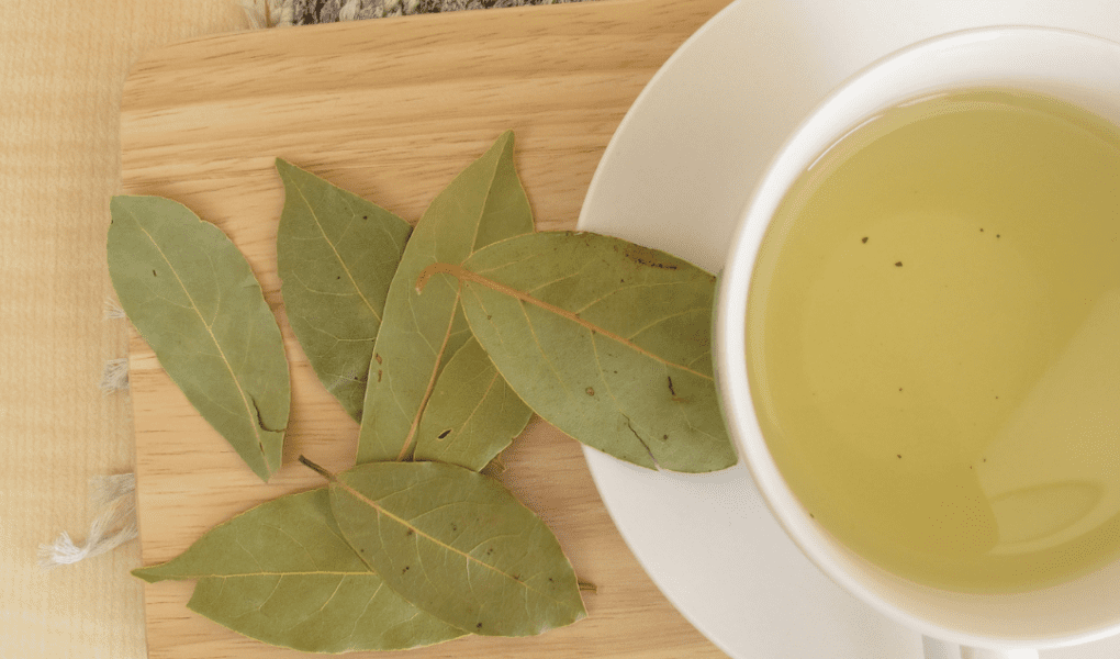 Beneficiile ceaiului de dafin