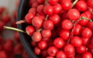 Schisandra Chinensis - Un fruct misterios cu beneficii surprinzătoare